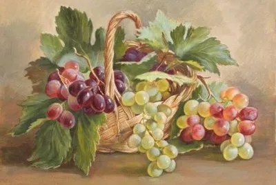 uva