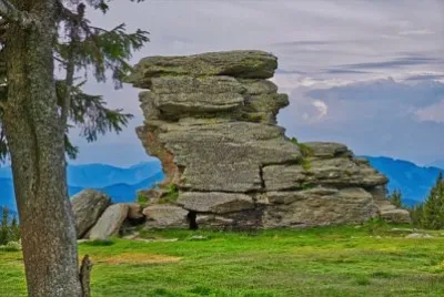 Imagem jigsaw puzzle