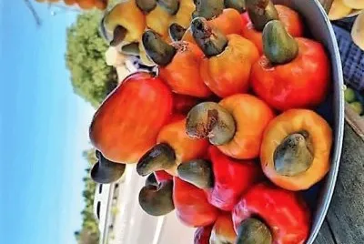 frutas
