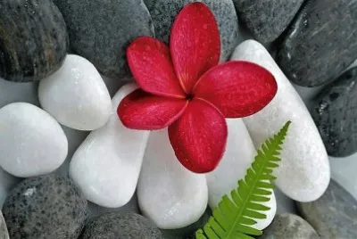 flores