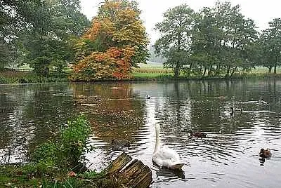 Locko Park Lake jigsaw puzzle