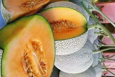 frutas