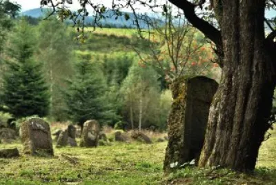 Imagem jigsaw puzzle