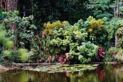 Imagem jigsaw puzzle