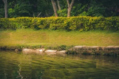 Imagem jigsaw puzzle