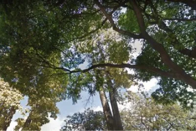 Imagem jigsaw puzzle