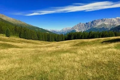 Imagem jigsaw puzzle