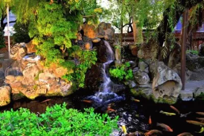 Imagem jigsaw puzzle