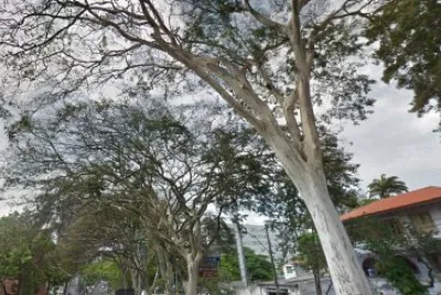 Imagem jigsaw puzzle