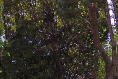 Imagem jigsaw puzzle