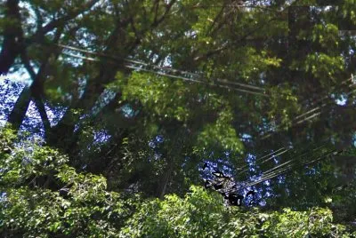 Imagem jigsaw puzzle