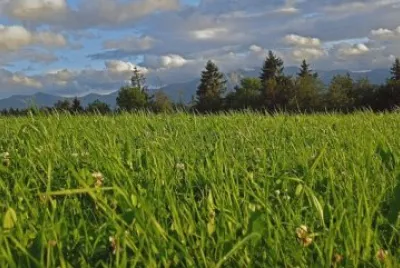 Imagem jigsaw puzzle