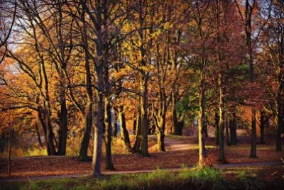 Imagem jigsaw puzzle