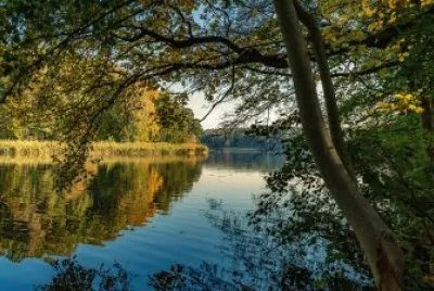 Imagem jigsaw puzzle