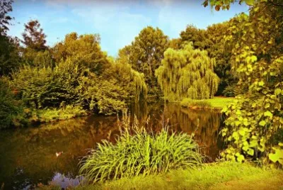 Imagem jigsaw puzzle