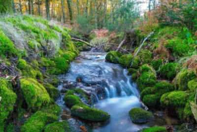 Imagem jigsaw puzzle