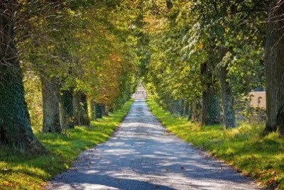 Imagem jigsaw puzzle