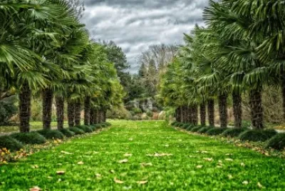 Imagem jigsaw puzzle