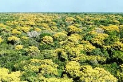 Imagem jigsaw puzzle