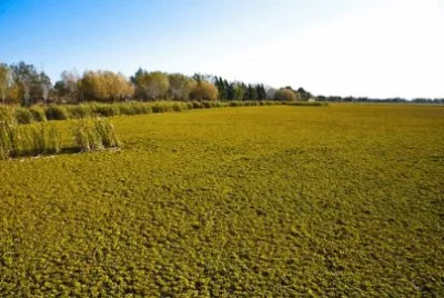 Imagem jigsaw puzzle