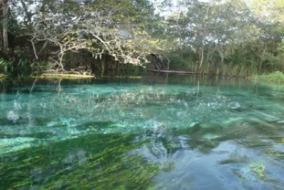 Imagem jigsaw puzzle