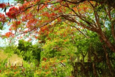 Imagem jigsaw puzzle