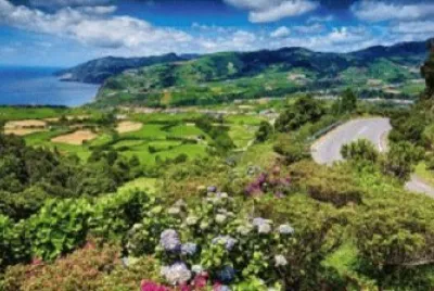 Imagem jigsaw puzzle