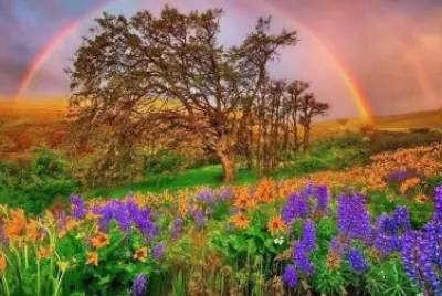 imagem jigsaw puzzle