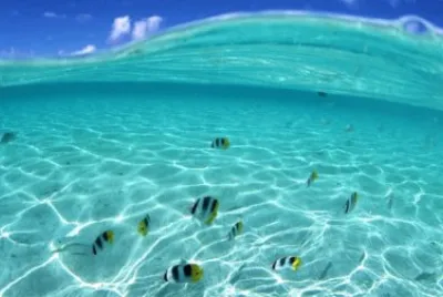 Imagem jigsaw puzzle