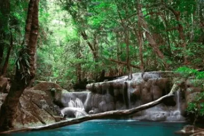 Imagem jigsaw puzzle