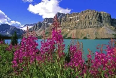 Imagem jigsaw puzzle