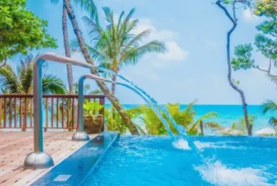 Imagem jigsaw puzzle