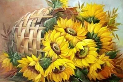 girasoli