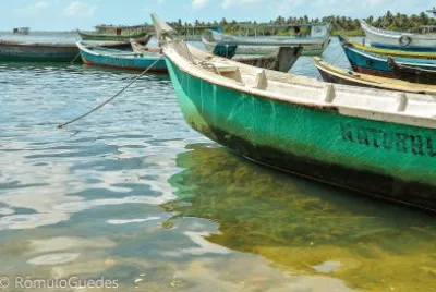 natural jigsaw puzzle