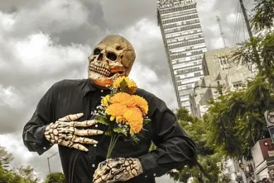 Imagem
