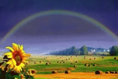 Imagem jigsaw puzzle