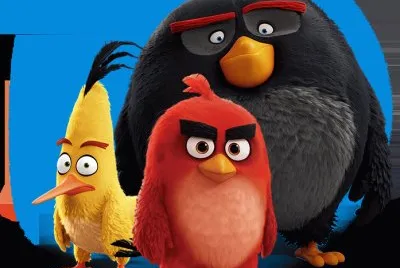 andry bird