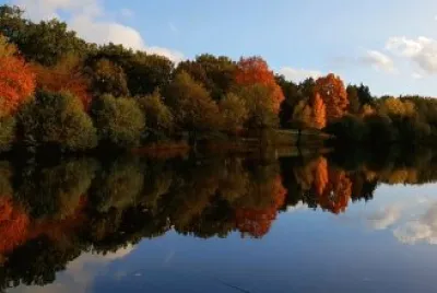 Imagem jigsaw puzzle