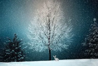 Imagem jigsaw puzzle
