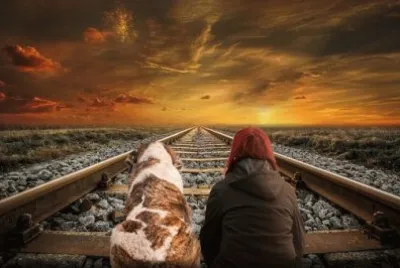Imagem jigsaw puzzle