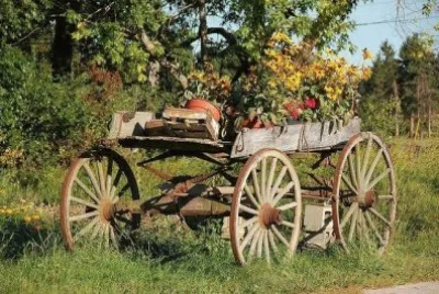natural jigsaw puzzle