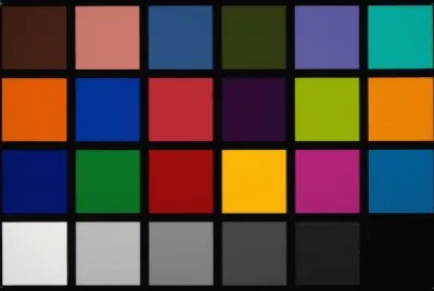 COLORS