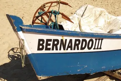 bernardo lll