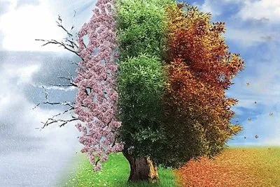 seasons#201 jigsaw puzzle