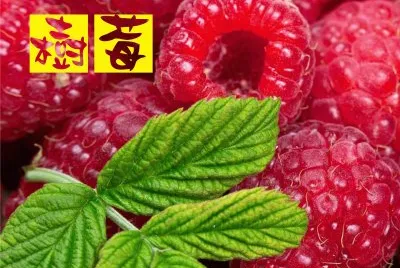 æ°´æžœ æ¨¹èŽ“ jigsaw puzzle