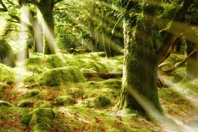 Jeff Wang jigsaw puzzle