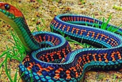 Color Snake
