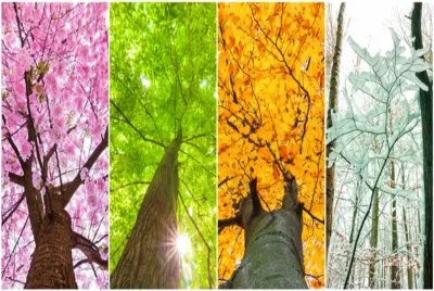 å››å­£æ˜¥å¤ç§‹å†¬ jigsaw puzzle