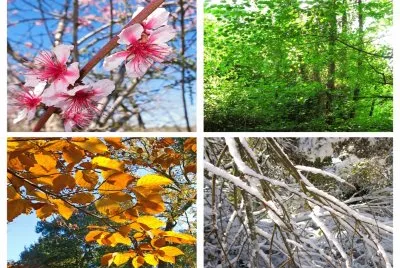 å››å­£æ˜¥å¤ç§‹å†¬