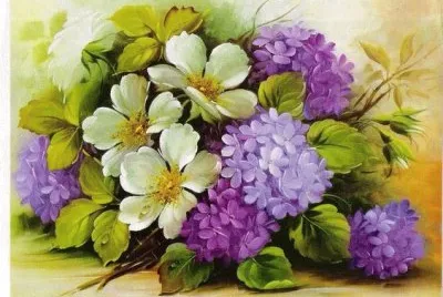 ortensie